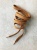 Шнурки коричневые плоские, длина 150 см ширина 1,3 см Италия ШИК/150/87597 по цене 157 руб./штука
