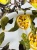 Шёлк "лимоны" (цвет основы светло-бирюзовый), купон 135*135 см Италия ШИГ/135/53247 по цене 5 717 руб./штука