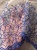 Кружево синяя вышивка на сетке телесного цвета, ширина 23 см (вышивка 18 см) Италия КИС/23/08789 по цене 647 руб./метр