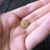 Пуговица Massimo Rebecchi цвет золото, 1,0 см ПИЗ/10/9733 по цене 23 руб./штука