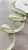 Косая бейка светло-оливковая (хлопок 100%), ширина 1,3 см Италия КИО/13/22820 по цене 59 руб./метр