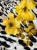 Стёжка двусторонняя "цветы" (полиэстер), ширина  Италия СИЦ/145/08875 по цене 2 697 руб./метр